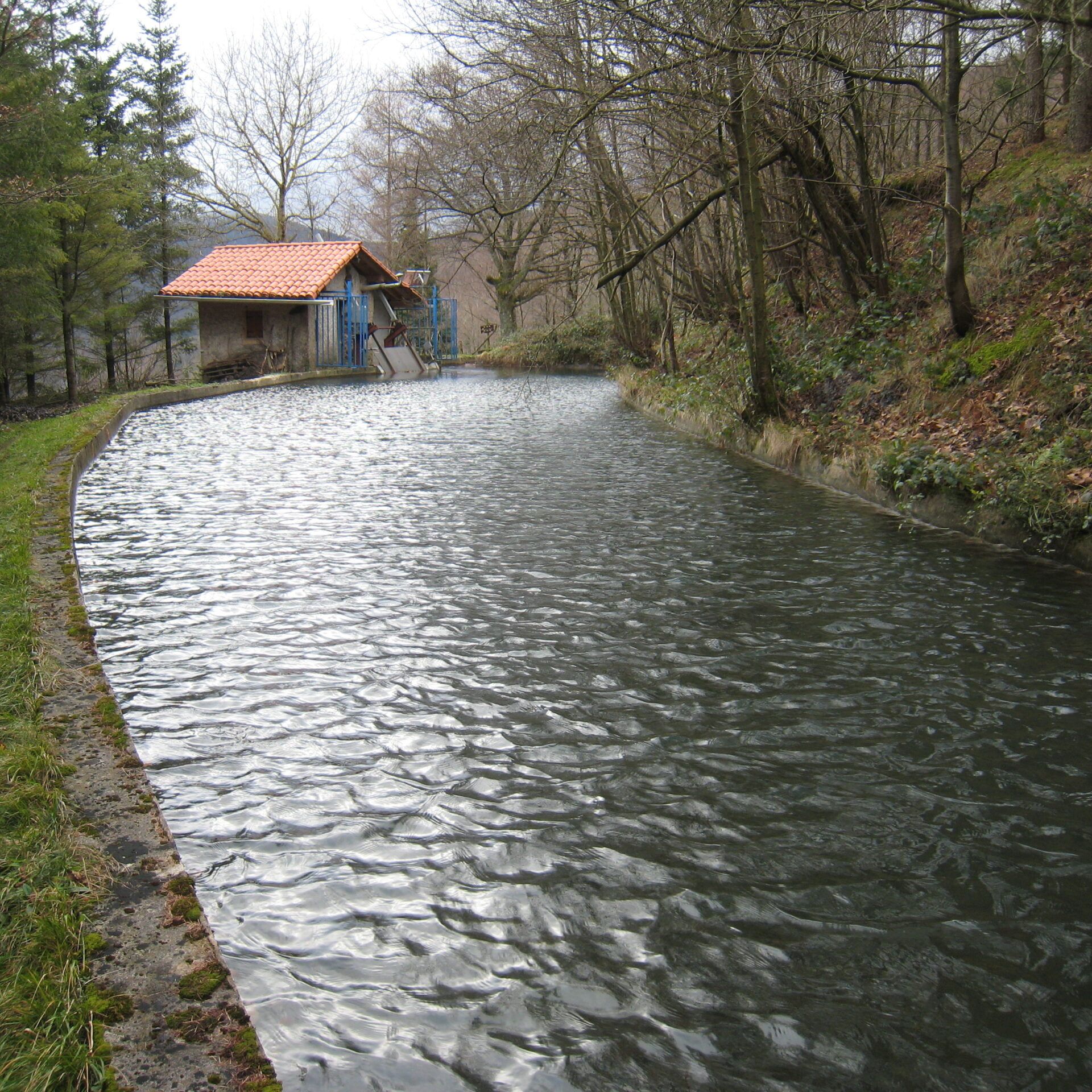 Zegama-Tunelaundi