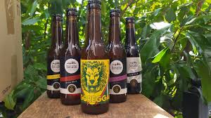 elaboración cerveza basabe