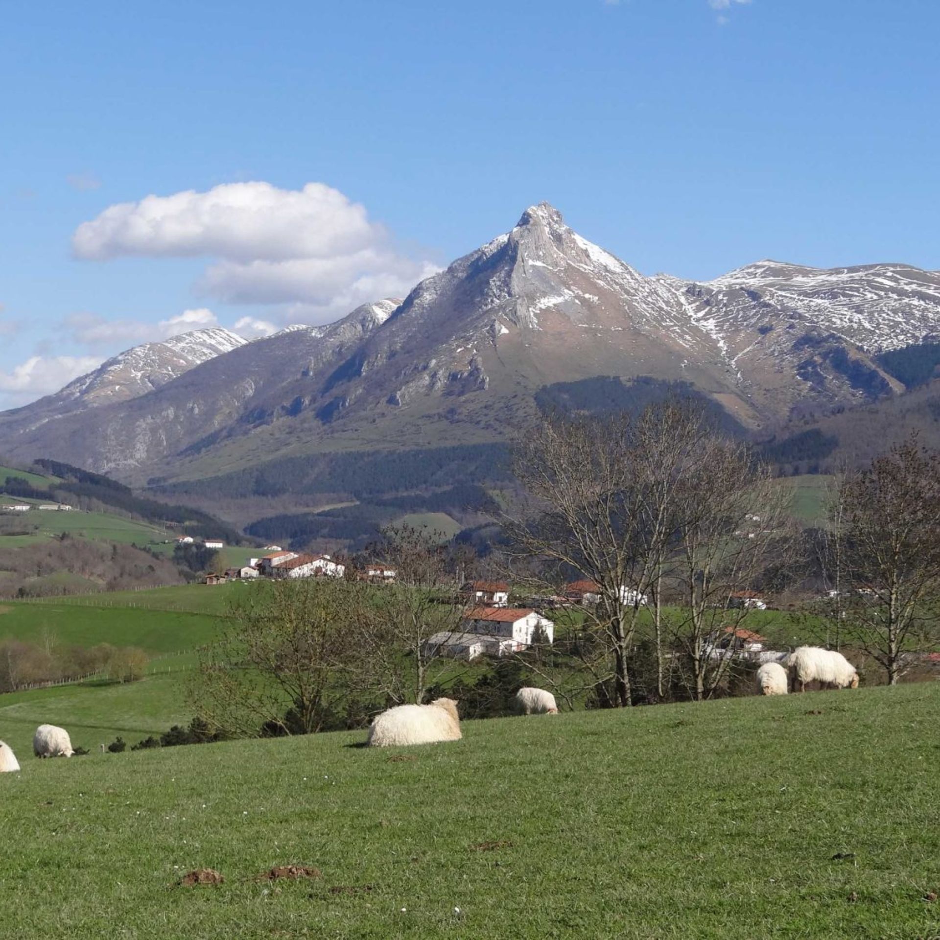 Parcs Naturels Aizkorri-Aratz & Aralar